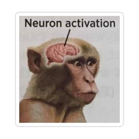 neuron activation